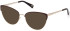 Guess GU5217 sunglasses in Dark Brown/Other