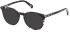 Guess GU5224 sunglasses in Grey/Other
