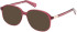 Guess GU8255 sunglasses in Bordeaux/Other