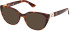 Guess GU2908 sunglasses in Blonde Havana