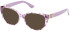 Guess GU2908 sunglasses in Violet/Other