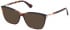 Guess GU2880 sunglasses in Blonde Havana