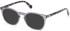 Guess GU50053 sunglasses in Grey/Other