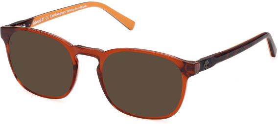 Timberland TB1767 sunglasses in Shiny Dark Brown