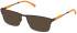 Timberland TB1770 sunglasses in Matte Dark Brown