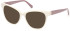 Gant GA4113 sunglasses in Ivory