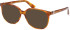 Guess GU2936 sunglasses in Blonde Havana