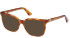 Guess GU2937 sunglasses in Blonde Havana