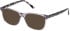 Guess GU8269 sunglasses in Grey/Other