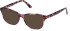 Guess GU8270 sunglasses in Violet/Other