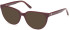 Guess GU2872 sunglasses in Shiny Bordeaux