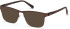 Guess GU50013 sunglasses in Matte Dark Brown