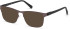 Guess GU50013 sunglasses in Matte Gunmetal
