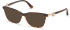 Guess GU2856-S sunglasses in Blonde Havana