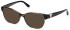 Guess GU2854-S sunglasses in Blonde Havana