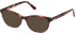 Guess GU8270 sunglasses in Bordeaux/Other