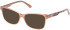 Guess GU2943 sunglasses in Shiny Beige