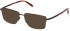 Timberland TB1773 sunglasses in Bronze/Other