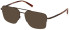 Timberland TB1772 sunglasses in Bronze/Other