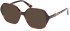 Guess GU2875 sunglasses in Blonde Havana