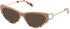 Guess GU2911 sunglasses in Beige/Other
