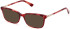 Guess GU2907 sunglasses in Bordeaux/Other
