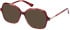 Guess GU2906 sunglasses in Bordeaux/Other