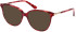 Guess GU2905 sunglasses in Bordeaux/Other