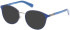 Guess GU8254 sunglasses in Blue/Other