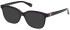 Guess GU5220 sunglasses in Shiny Black