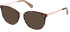 Guess GU5218 sunglasses in Beige/Other