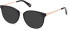 Guess GU5218 sunglasses in Shiny Black