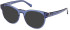 Gant GA3273 sunglasses in Shiny Blue