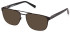 Timberland TB1760 sunglasses in Matte Black