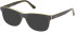 Guess GU8267 sunglasses in Grey/Other