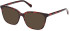 Gant GA4137 sunglasses in Red Havana