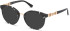 Guess GU2834 sunglasses in Black/Other