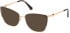 Guess GU2814 sunglasses in Matte Dark Brown