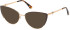 Guess GU2813 sunglasses in Matte Dark Brown
