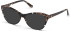 Guess GU2818 sunglasses in Dark Brown/Other