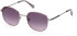 Gant GA7222 sunglasses in Shiny Dark Ruthenium/Gradient Smoke