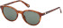 Guess GU5216 sunglasses in Blonde Havana/Green