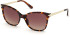 Guess GU7657 sunglasses in Dark Havana/Gradient Brown