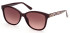 Guess GU7828 sunglasses in Shiny Bordeaux/Gradient Brown