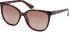 Guess GU7864 sunglasses in Dark Havana/Brown Polarized