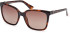 Guess GU7865 sunglasses in Dark Havana/Brown Polarized
