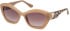 Guess GU7868 sunglasses in Shiny Beige/Gradient Brown