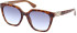 Guess GU7870 sunglasses in Blonde Havana/Gradient Blue