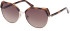 Guess GU7872 sunglasses in Blonde Havana/Gradient Brown