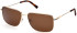 Timberland TB9290 sunglasses in Gold/Brown Polarized